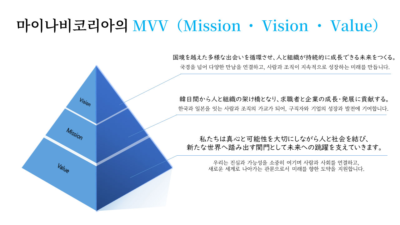 vision